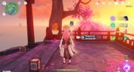 Equip Paimon's Kamera and start the challenge (Image via HoYoverse)